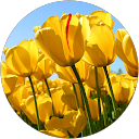 Home 8 Deepika G profile picture