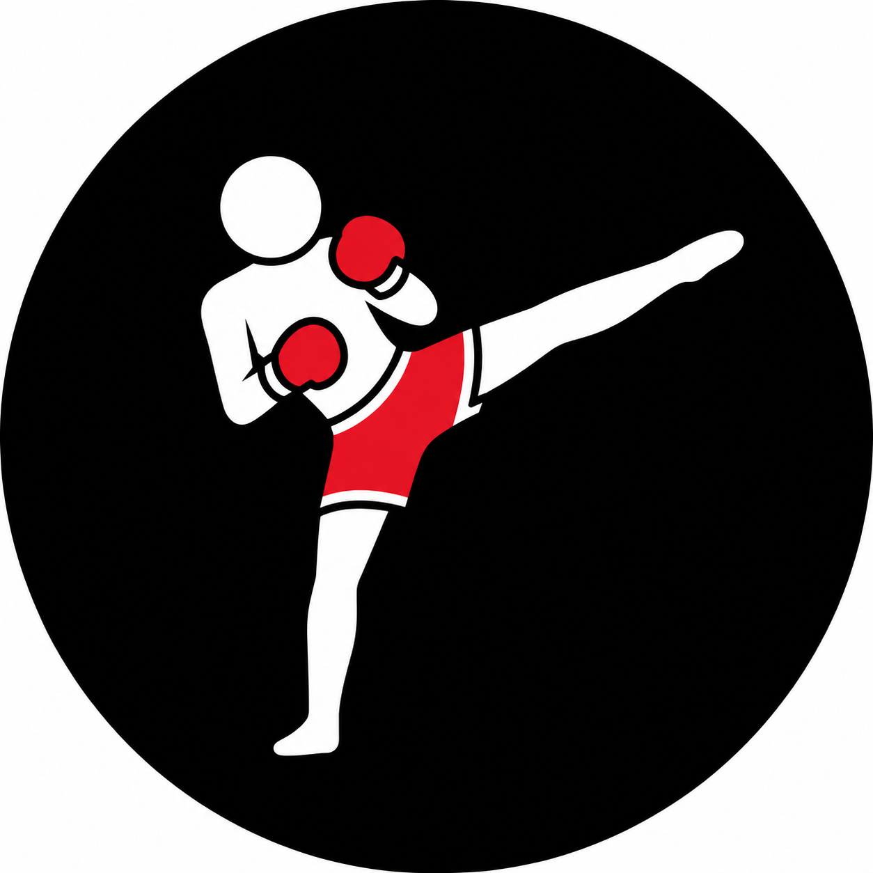 kickboxing icon